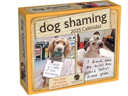 Dog Shaming 2025 Day-to-Day Calendar Fashion