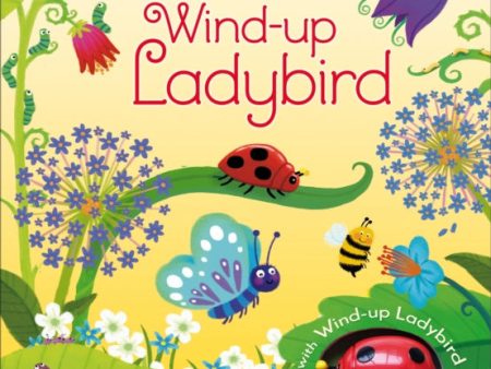 Wind-up Ladybird Sale